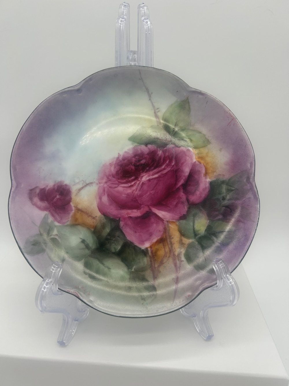 Antique Hutschenreuther Alice Bavaria Hand Painted Pink Roses Plate 1900-1920